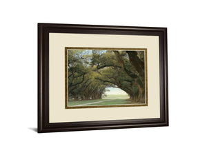 Alley Of The Oaks By William Guion  ***Monl*** 34X40 Framed Print
