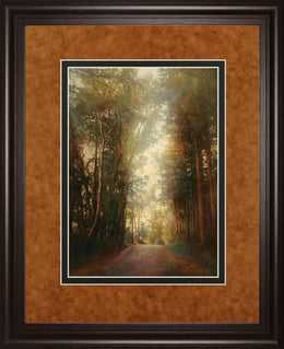 Road Of Mysteries Ii By Amy Melious  ***Monl*** 34X40 Framed Print