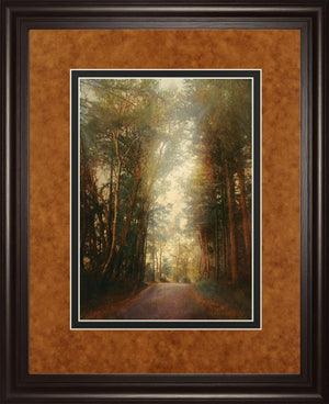 Road Of Mysteries Ii By Amy Melious  ***Monl*** 34X40 Framed Print