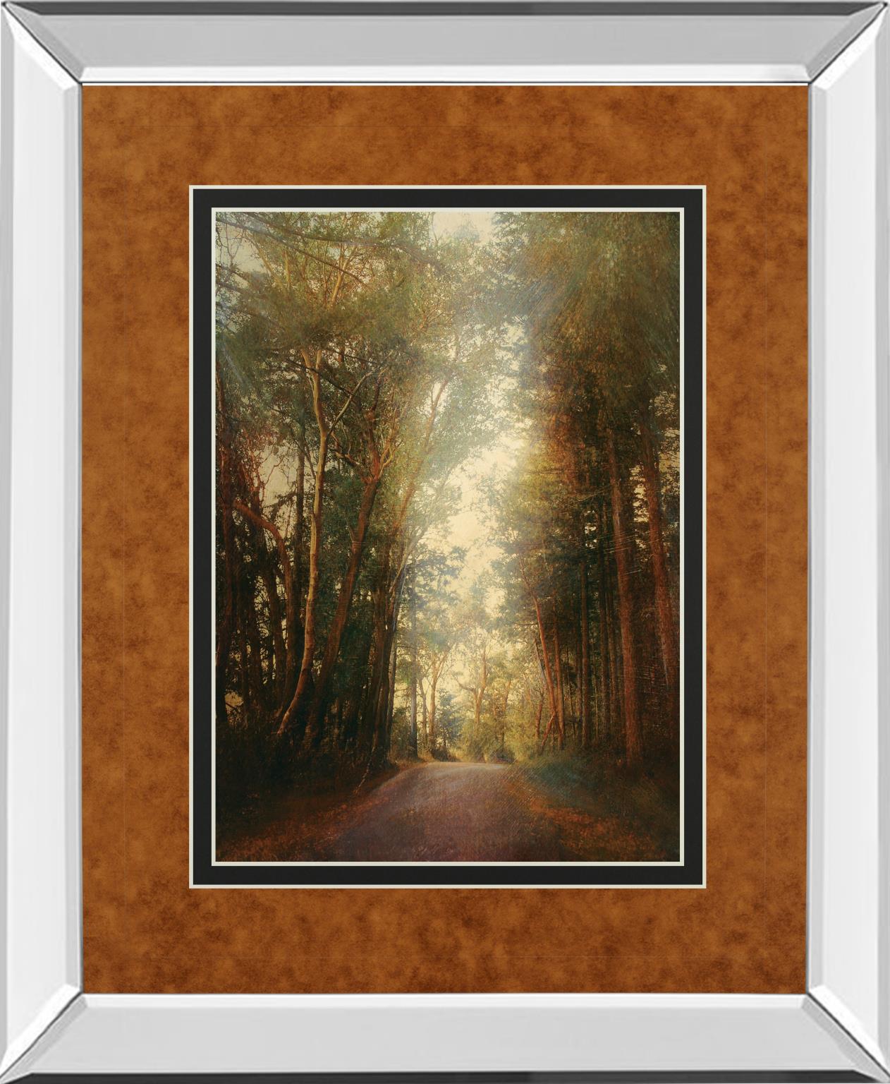 Mirrored Frame Road Of Mysteries Ii By Amy Melious  ***Monl*** 34X40 Mirror Frame Print