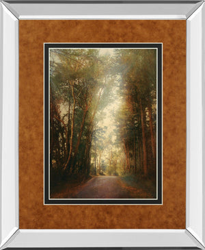 Mirrored Frame Road Of Mysteries Ii By Amy Melious  ***Monl*** 34X40 Mirror Frame Print