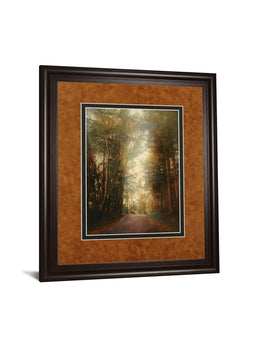 Road Of Mysteries Ii By Amy Melious  ***Monl*** 34X40 Framed Print