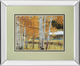 Mirrored Frame Birch Beauty By Mike Jones 34X40 Mirror Frame Print