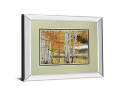 Mirrored Frame Birch Beauty By Mike Jones 34X40 Mirror Frame Print