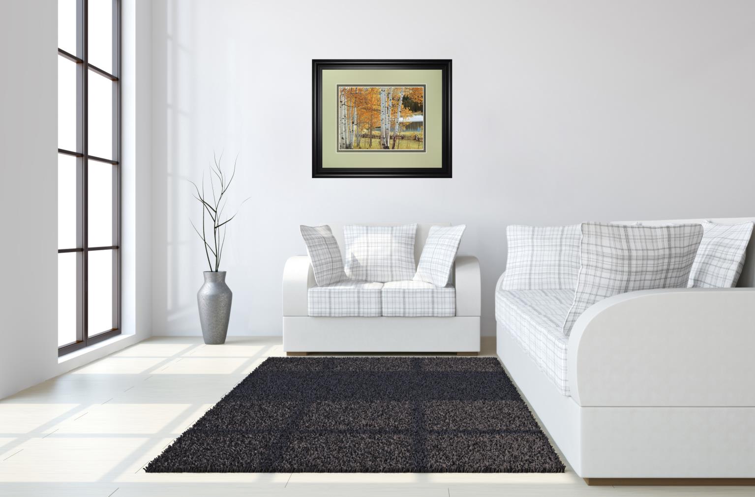 Birch Beauty By Mike Jones 34X40 Framed Print