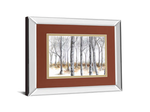 Mirrored Frame At Peace By Tita Quintero 34X40 Mirror Frame Print