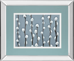 Mirrored Frame Protected By Frank Assaf 34X40 Mirror Frame Print