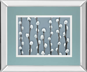 Mirrored Frame Protected By Frank Assaf 34X40 Mirror Frame Print