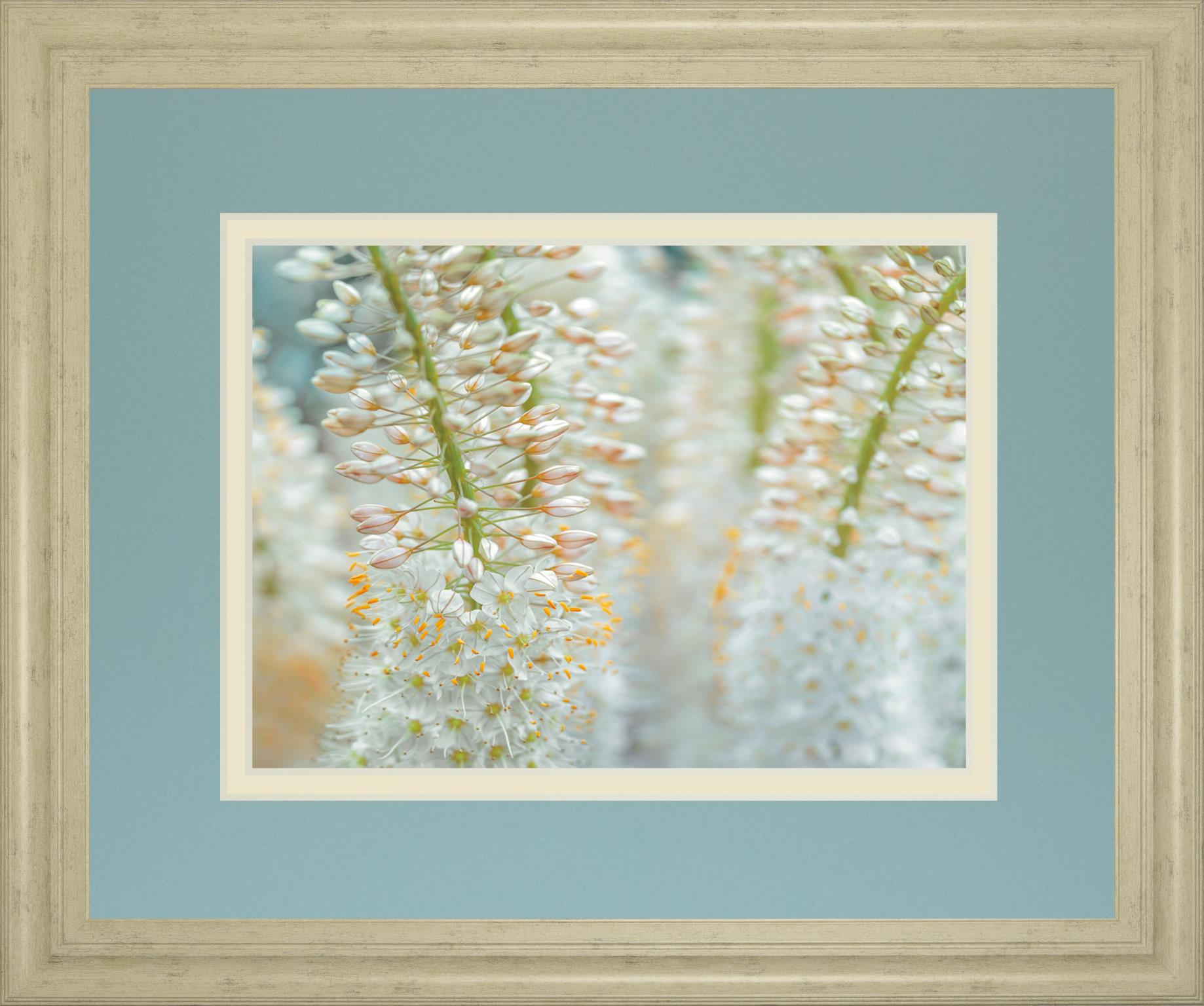 Humbled By Frank Assaf 34X40 Framed Print