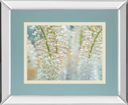 Mirrored Frame Humbled By Frank Assaf 34X40 Mirror Frame Print