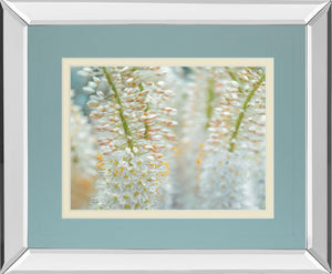 Mirrored Frame Humbled By Frank Assaf 34X40 Mirror Frame Print