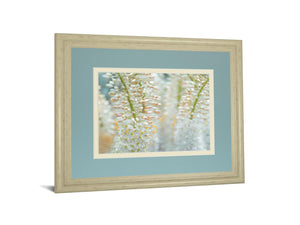 Humbled By Frank Assaf 34X40 Framed Print