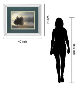 Mirrored Frame Misty Morning By Nan ***Monl*** 34X40 Mirror Frame Print
