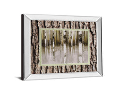Mirrored Frame Fern Creek By Susan Jill 34X40 Mirror Frame Print