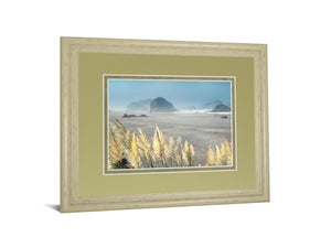 Pompas Beach By Frates 34X40 Framed Print