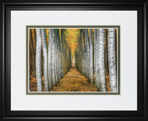 Tree Farm By Cahill 34X40 Framed Print