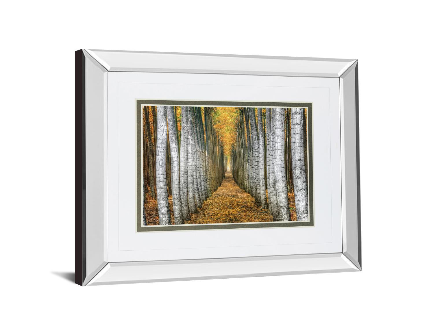 Mirrored Frame Tree Farm By Cahill 34X40 Mirror Frame Print