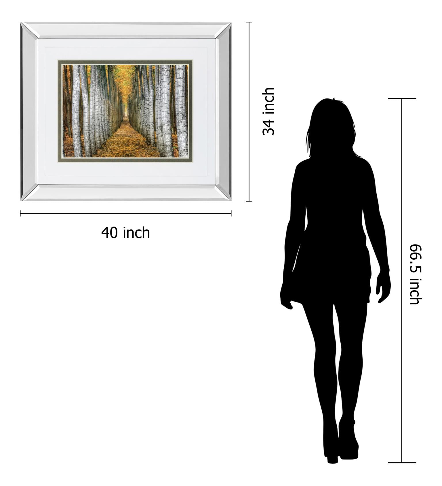 Mirrored Frame Tree Farm By Cahill 34X40 Mirror Frame Print