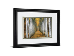 Tree Farm By Cahill 34X40 Framed Print