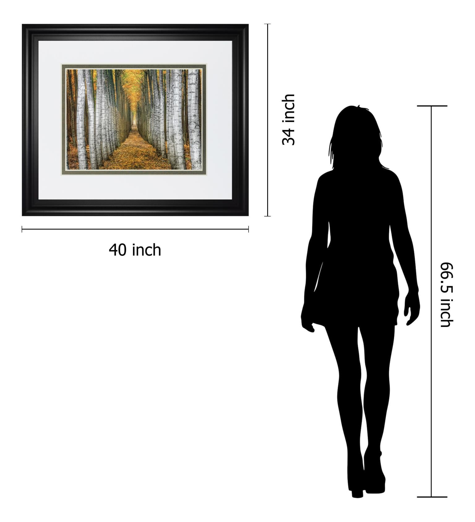 Tree Farm By Cahill 34X40 Framed Print