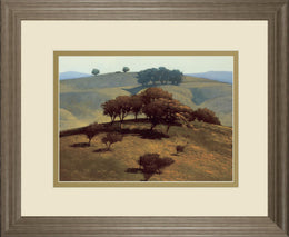 Hills Near Chico By N. Bohne 34X40 Framed Print