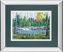Mirrored Frame Extounge Rapids By G. Forsythe 34X40 Mirror Frame Print