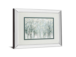 Mirrored Frame Winter Mist By Carol Robinson 34X40 Mirror Frame Print