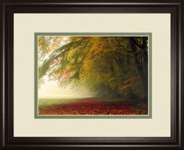 Your Beauty Silences Me By Irene Weisz 34X40 Framed Print