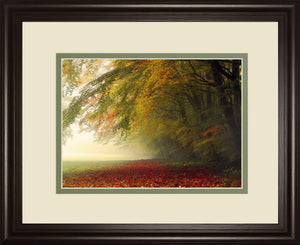 Your Beauty Silences Me By Irene Weisz 34X40 Framed Print