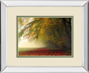 Mirrored Frame Your Beauty Silences Me By Irene Weisz 34X40 Mirror Frame Print