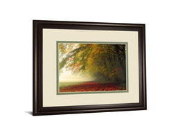 Your Beauty Silences Me By Irene Weisz 34X40 Framed Print