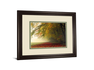 Your Beauty Silences Me By Irene Weisz 34X40 Framed Print