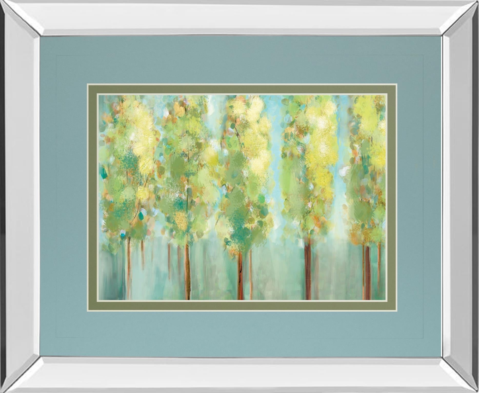 Mirrored Frame Turnwood By Susan Jill 34X40 Mirror Frame Print
