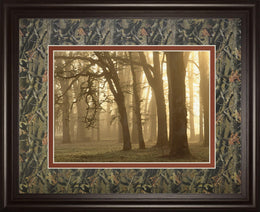Woodland Sweep By Dennis Frate 34X40 Framed Print