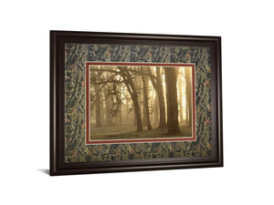Woodland Sweep By Dennis Frate 34X40 Framed Print