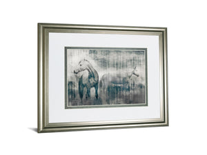 Grey Serenade By Edward Selkirk 34X40 Framed Print