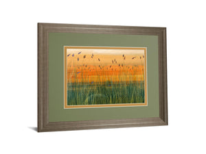 Golden Bayou By Holman 34X40 Framed Print