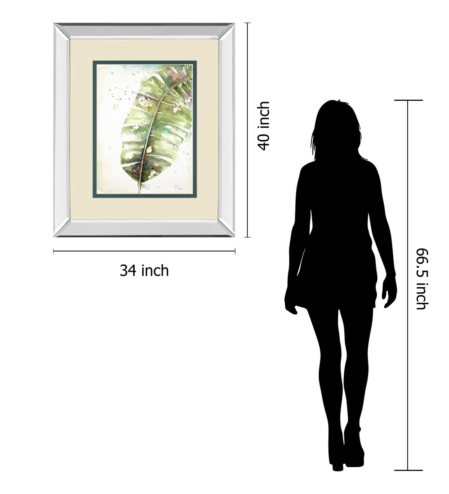 Mirrored Frame Watercolor Plantain Leaves Ii By Patricia Pinto 34X40 Mirror Frame Print