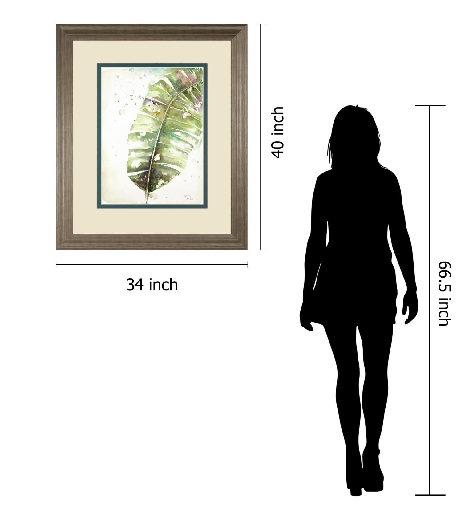 Watercolor Plantain Leaves Ii By Patricia Pinto 34X40 Framed Print