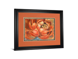 Red Lotus I  By Patricia Pinto 34X40 Framed Print