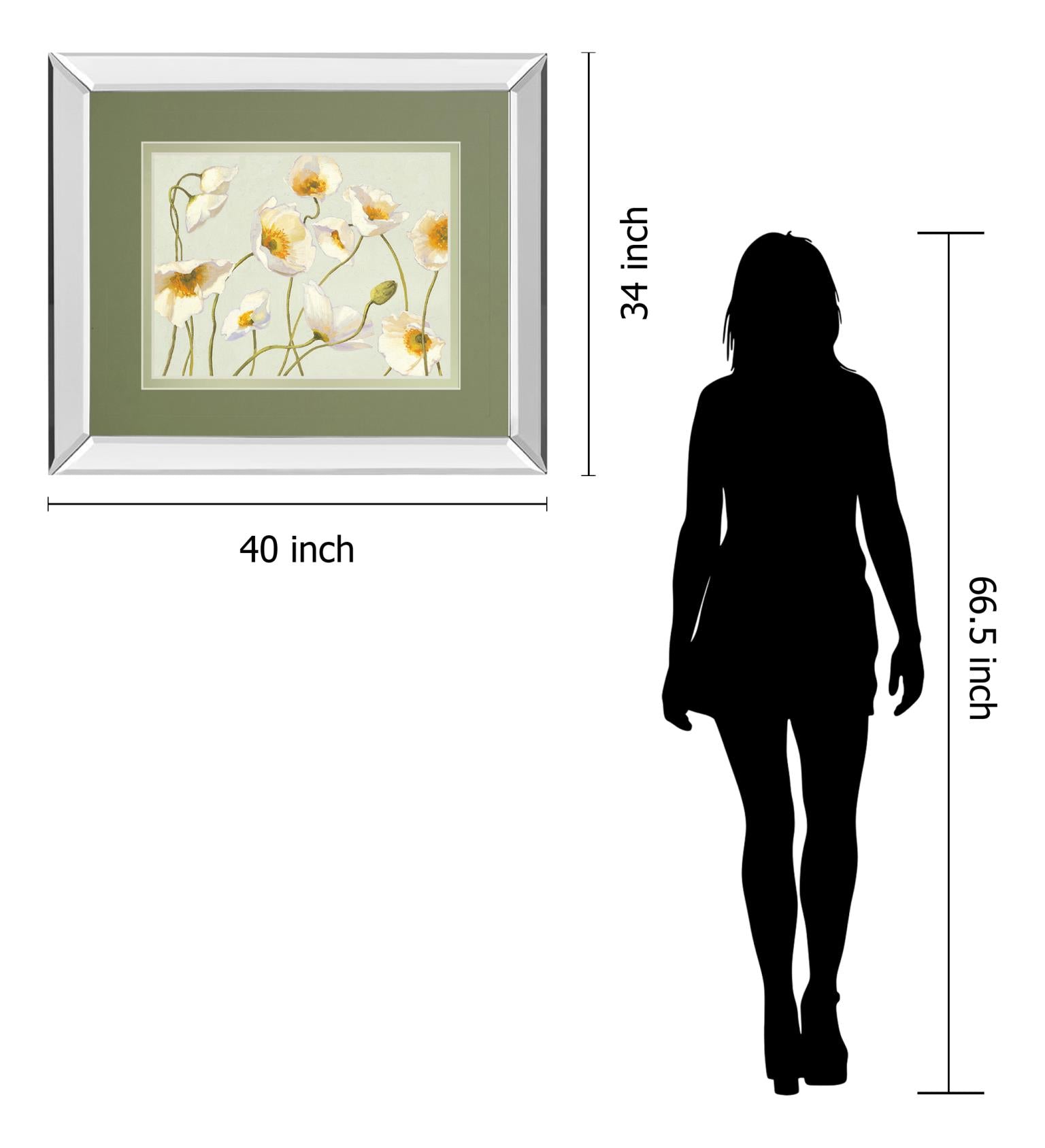 Mirrored Frame White Bright Poppies By Novak 34X40 Mirror Frame Print