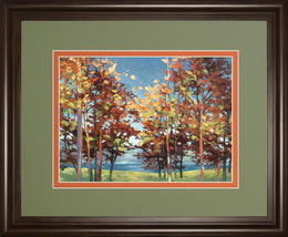 Kaliedoscope By Jmp 34X40 Framed Print