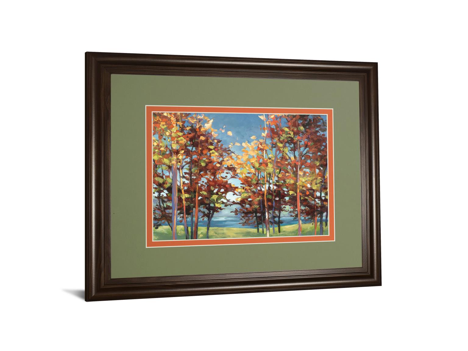 Kaliedoscope By Jmp 34X40 Framed Print