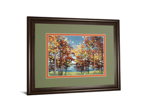 Kaliedoscope By Jmp 34X40 Framed Print