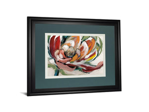 Bloomed I By Fitsimmons, A. 34X40 Framed Print