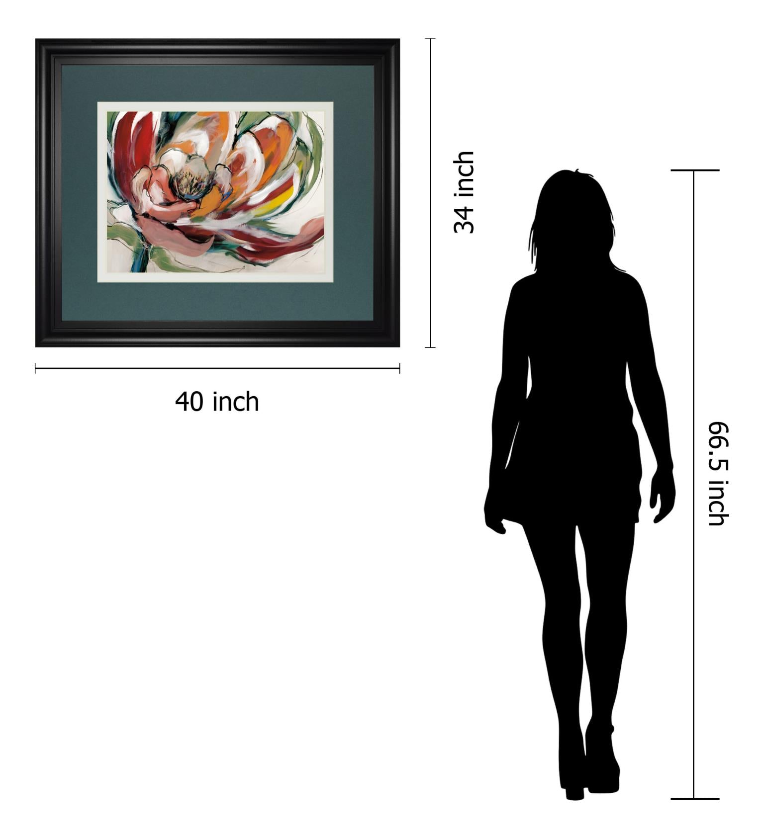 Bloomed I By Fitsimmons, A. 34X40 Framed Print