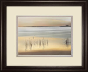 Golden By Marvin Pelkey 34X40 Framed Print