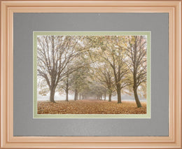 Autum'S Peace By Frank A 34X40 Framed Print