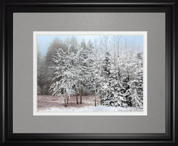 Frosty Morning By Mike Jone 34X40 Framed Print