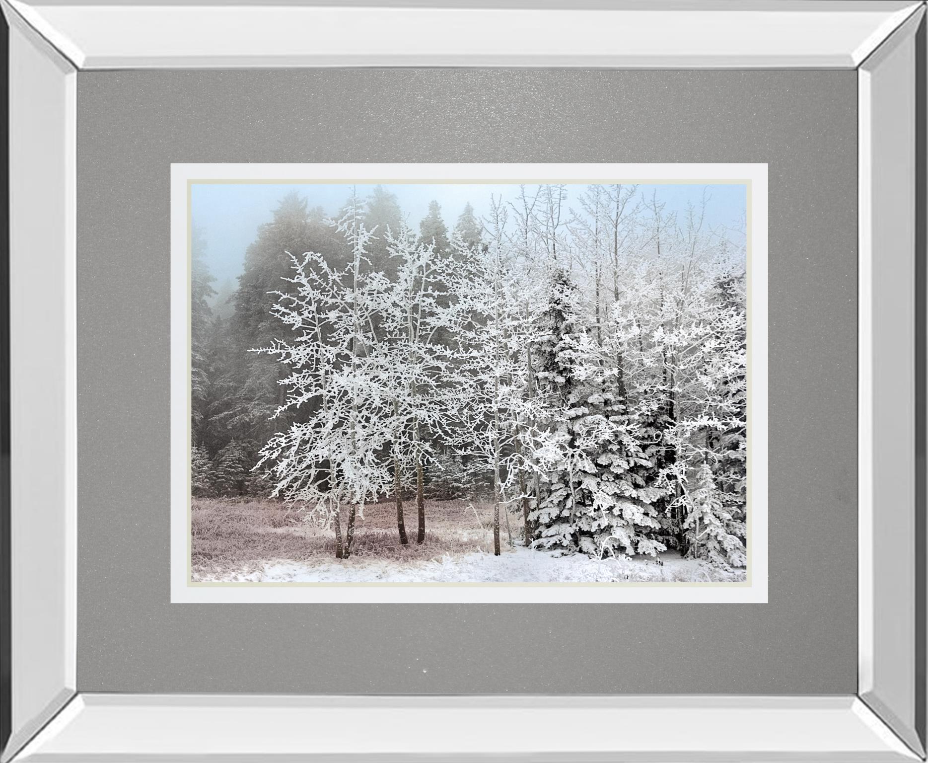 Frosty Morning By Mike Jone 34X40 Mirror Frame Print